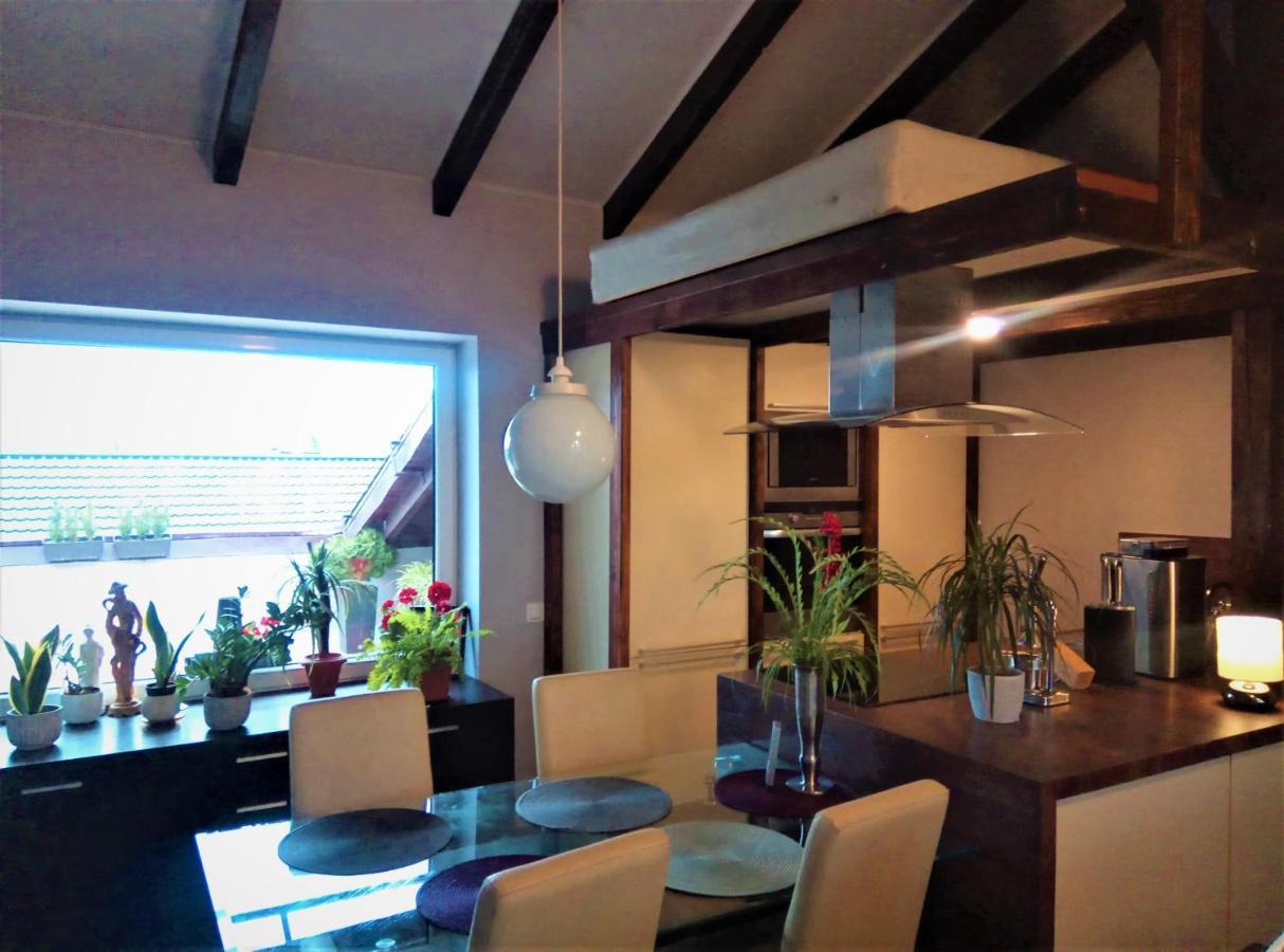 Apartamenty Zacisze كوزتسالين المظهر الخارجي الصورة